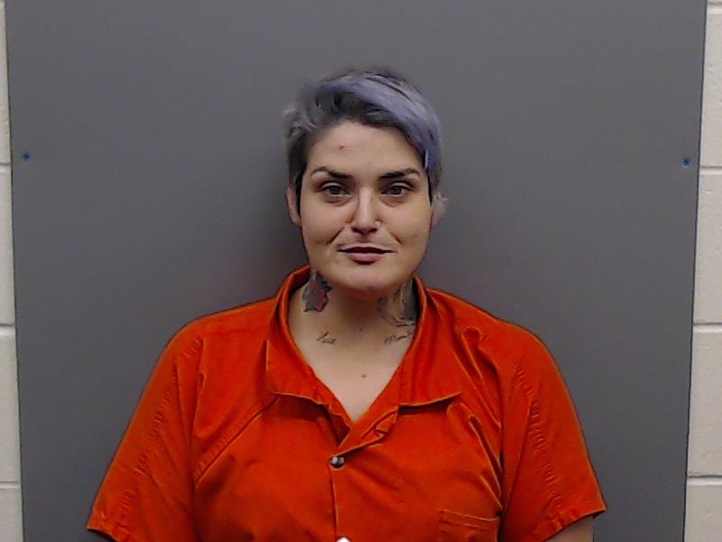 MARTINEZ, AMANDA ANN booking photo