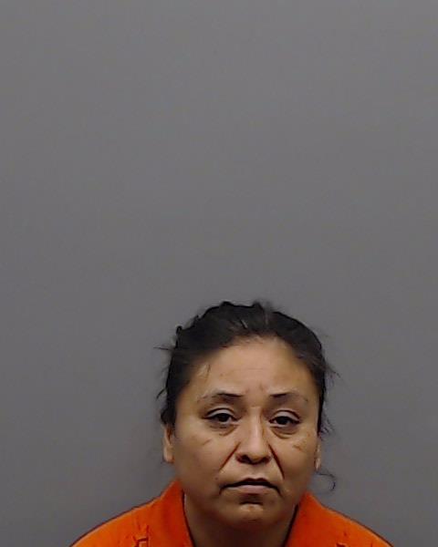HERNANDEZ-MARTINEZ, SANDRA booking photo