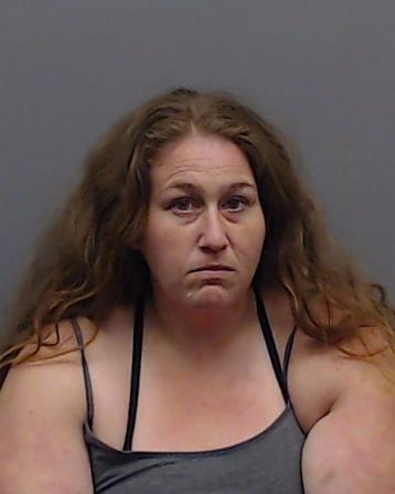 STEITLE, SARAH ELIZABETH booking photo