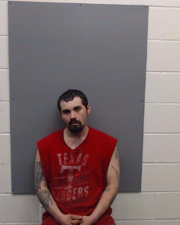 HANKINS, DILLON EDWARD booking photo