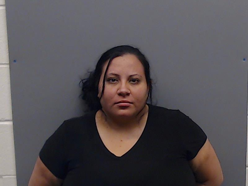NAVA, MELINDA MARIE booking photo