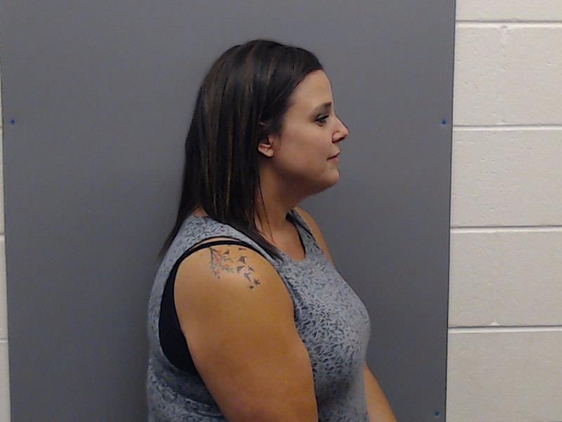 DUNN, TISH LYNN booking photo