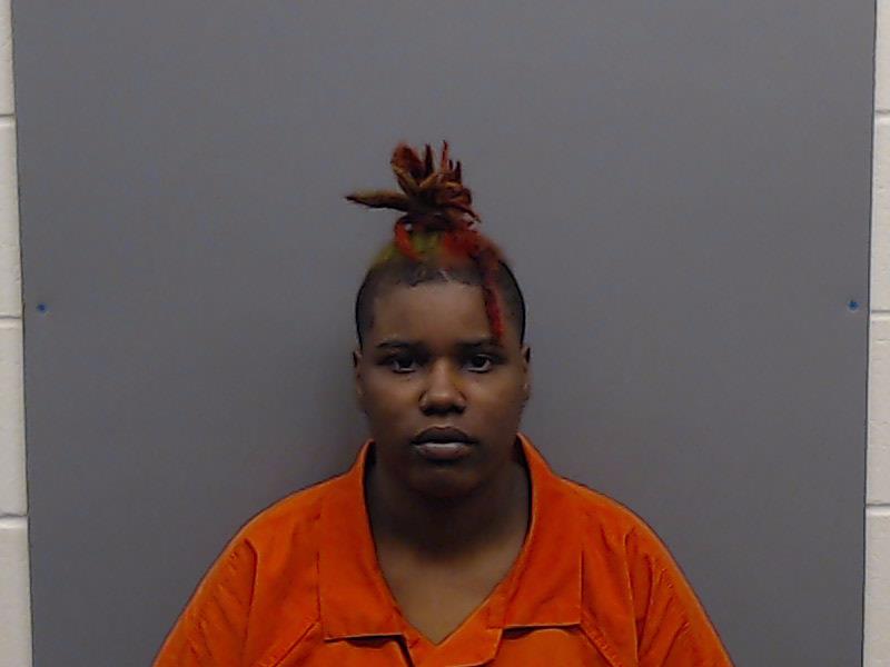 FIELDS, CHLOE AYANA SHADAWN booking photo