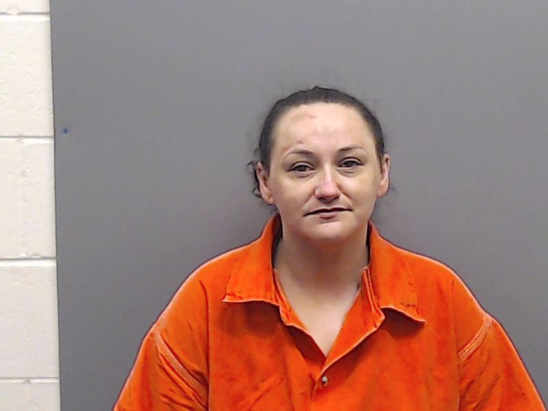 MARTIN, TERRI ANISE booking photo