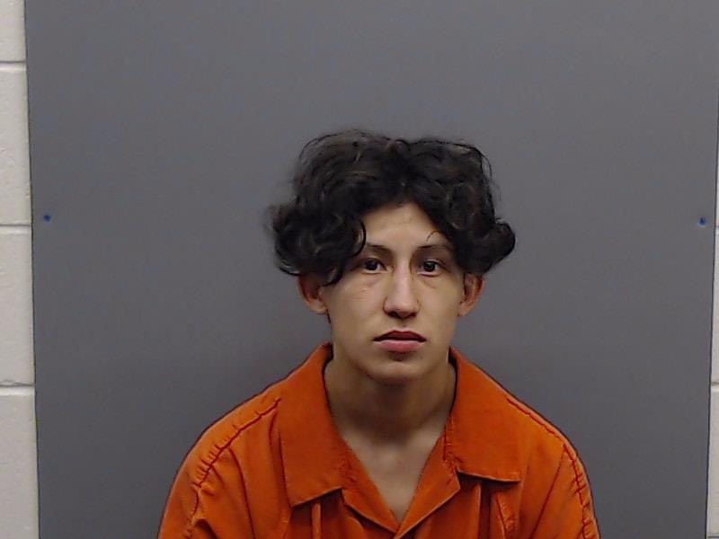 HERNANDEZ, ANGEL GABRIEL booking photo