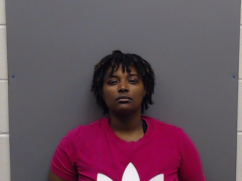 SANDERS, BREANNA LYNN booking photo