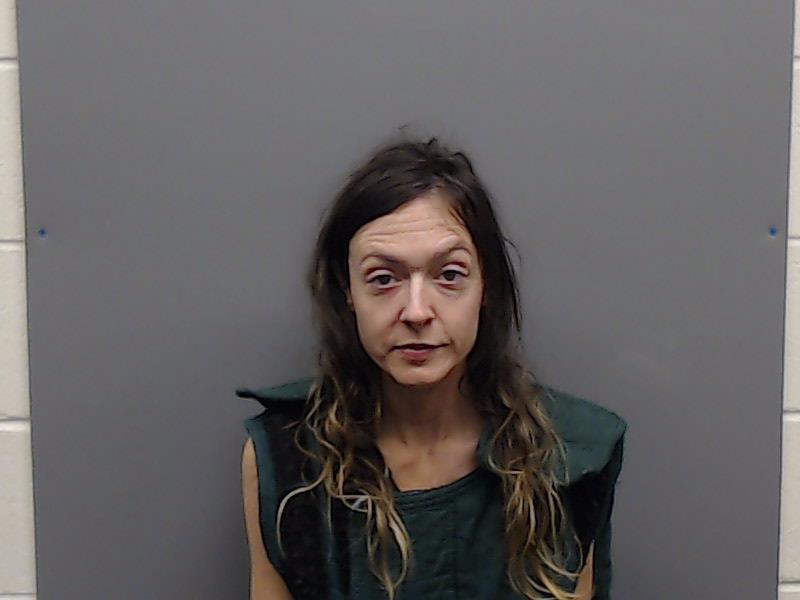 HAYNES, HEATHER NICOLE booking photo