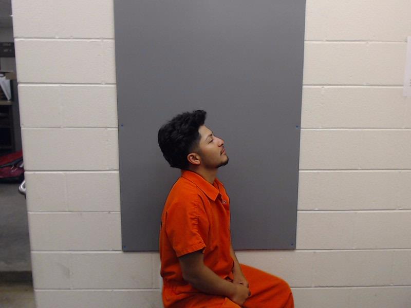 LOREDO, ANDY JULIAN booking photo