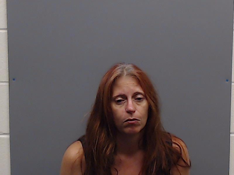 BROWN, GINGER LEANN booking photo