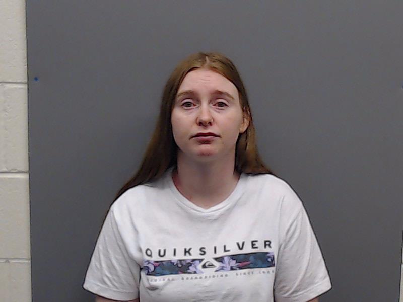 BORGER, NICOLE PAIGE booking photo