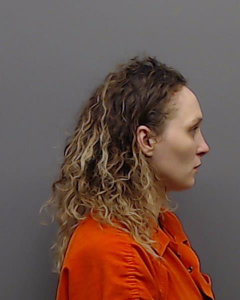 LUCAS, BRENDA ANN booking photo