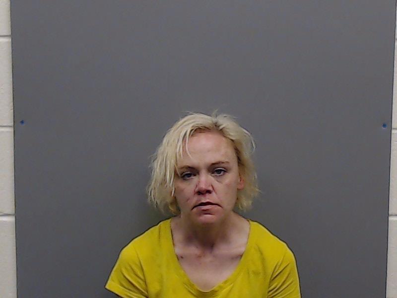 PINTLER, NICOLE LYNN booking photo