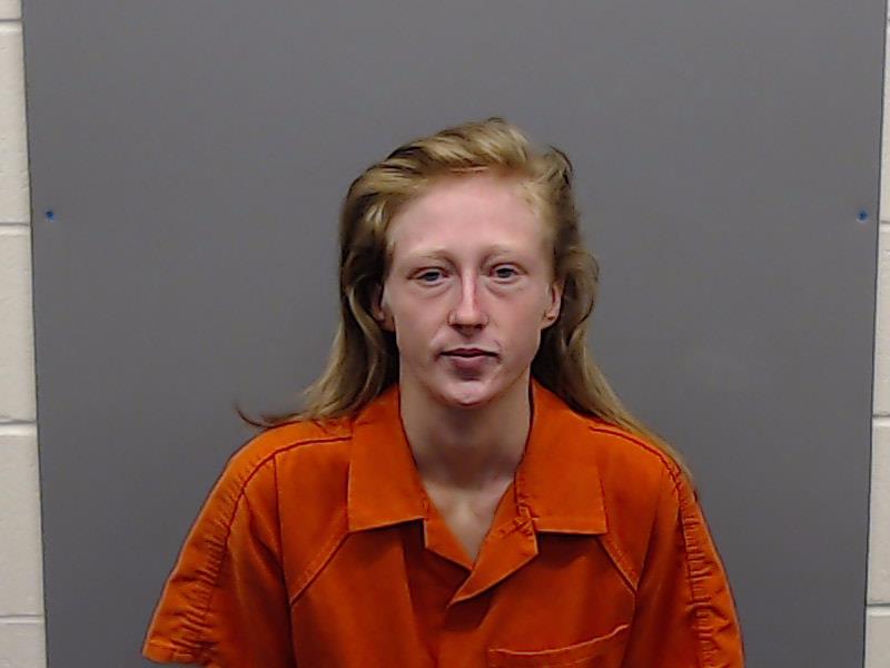 WORKS, SUMMER MILDRED booking photo