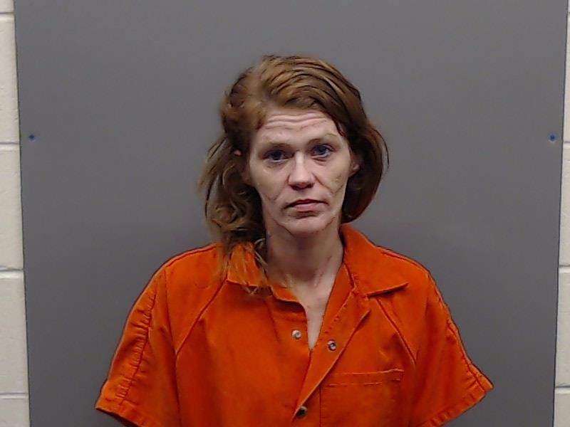WELCH, APRIL DAWN booking photo