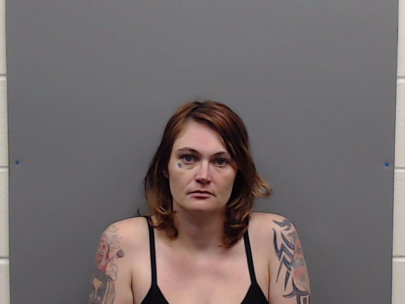 LEE-SLACK, KRISTIN DANIEL booking photo