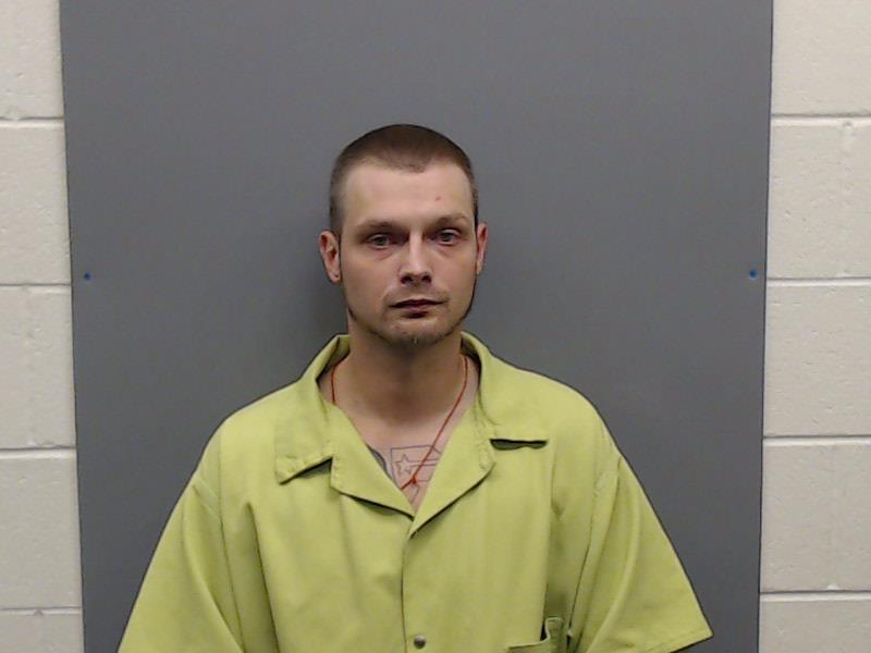 DAVIS, TRAVIS BRAX booking photo