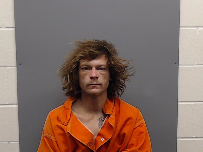 BROWN, AUSTIN MICHAEL booking photo