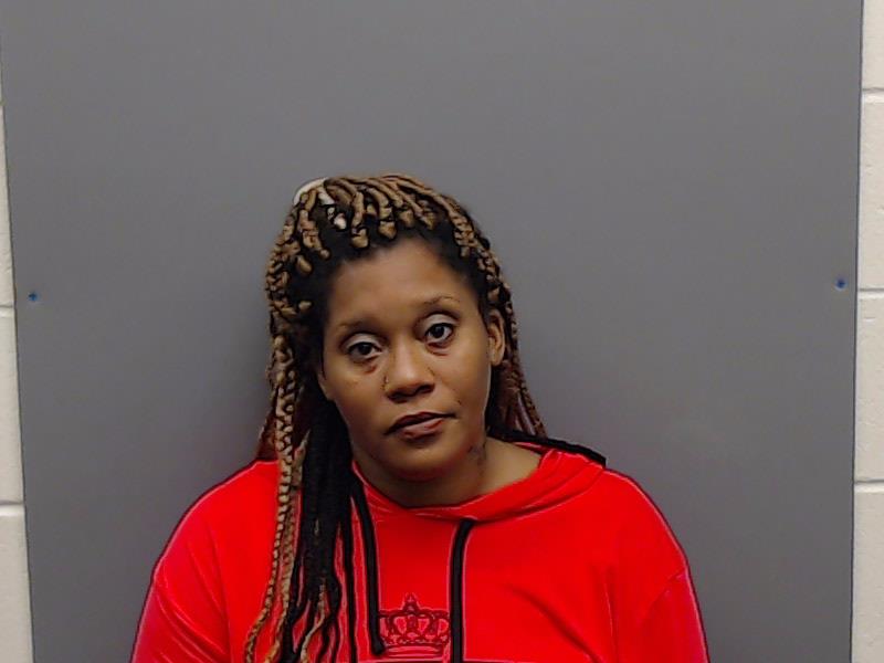 ERVIN, DANIELL MICHELLE booking photo