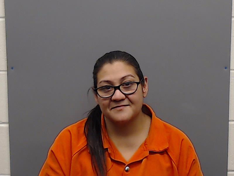 SALAS, MICHELLE ANN booking photo