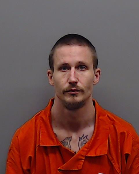 DAVIDSON, JOEL CASH arrested by Smith County SO/PD