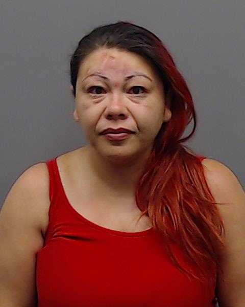 LOPEZ, BIANCA arrested by Smith County SO/PD