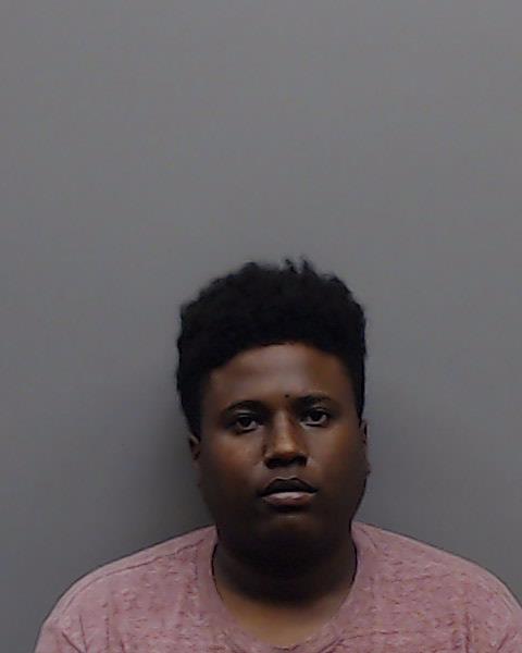 FOUNTAIN, JADEN TYLER booking photo