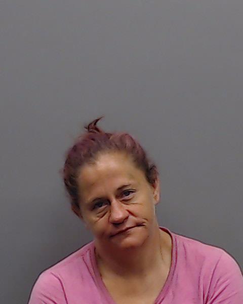WILLIAMS, HOLLY ANN booking photo