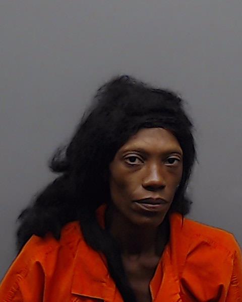 MINTON, SHAWNTA LATORA arrested by Smith County SO/PD