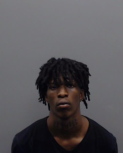 WILLIAMS, WARREN DWAYNE booking photo