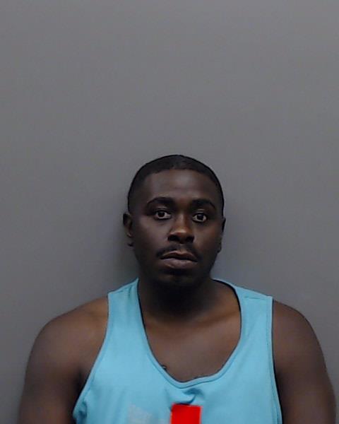 JOHNSON, BRIAN KEITH arrested by Smith County SO/PD