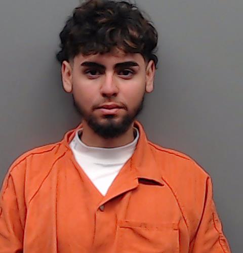 DELGADO, EDGAR GIOVANNI booking photo