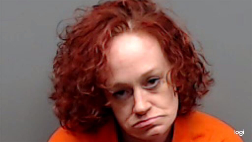 FLYNN, DANA ELAINE arrested in Smith County, Texas mugshot