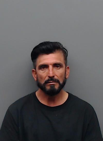 MEDINA, FABIAN booking photo