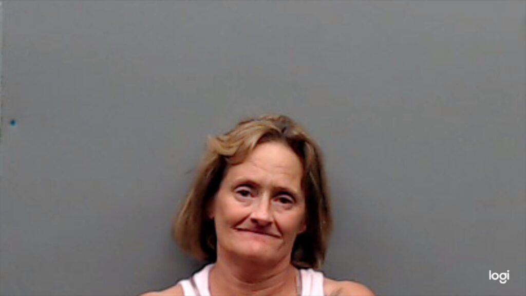 DAVIS, CYNTHIA DIANE booking photo