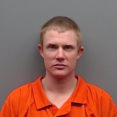 LEE, MICHAEL booking photo