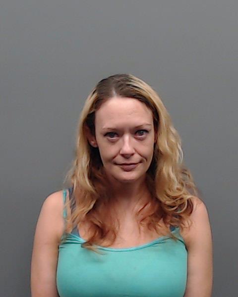WAIDE, AMANDA ANN booking photo