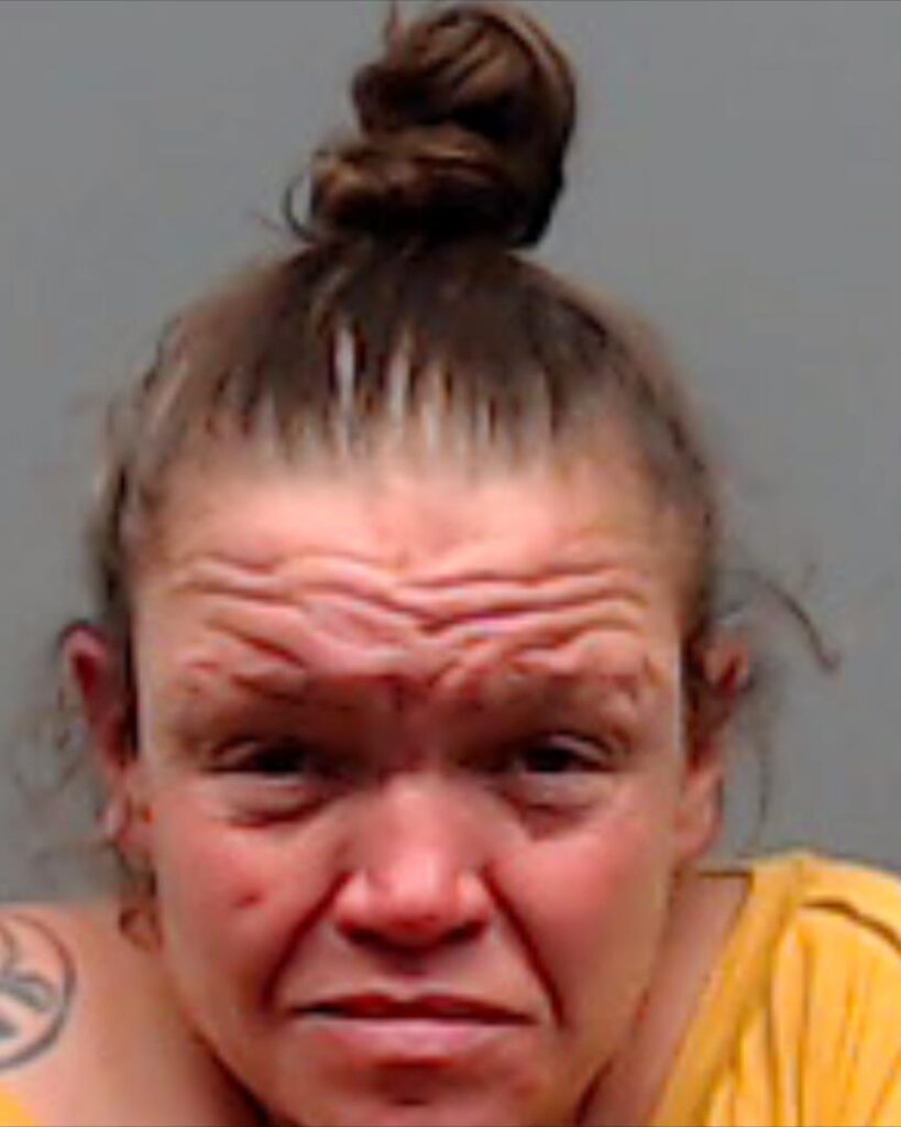 FIORILLO, KRISTIN ANN arrested in Smith County, Texas mugshot