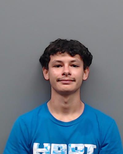 SALAS, DAVID, Jr. booking photo