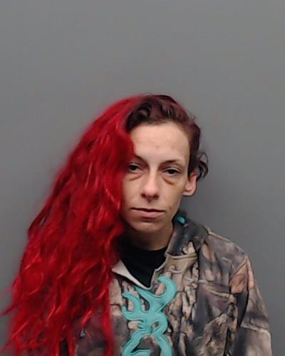 HOLLER, LACI booking photo