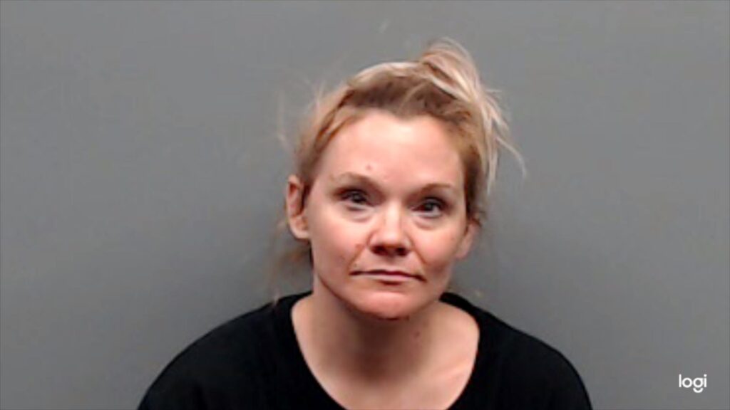 SCHWEIN, SHEENA arrested in Smith County, Texas mugshot