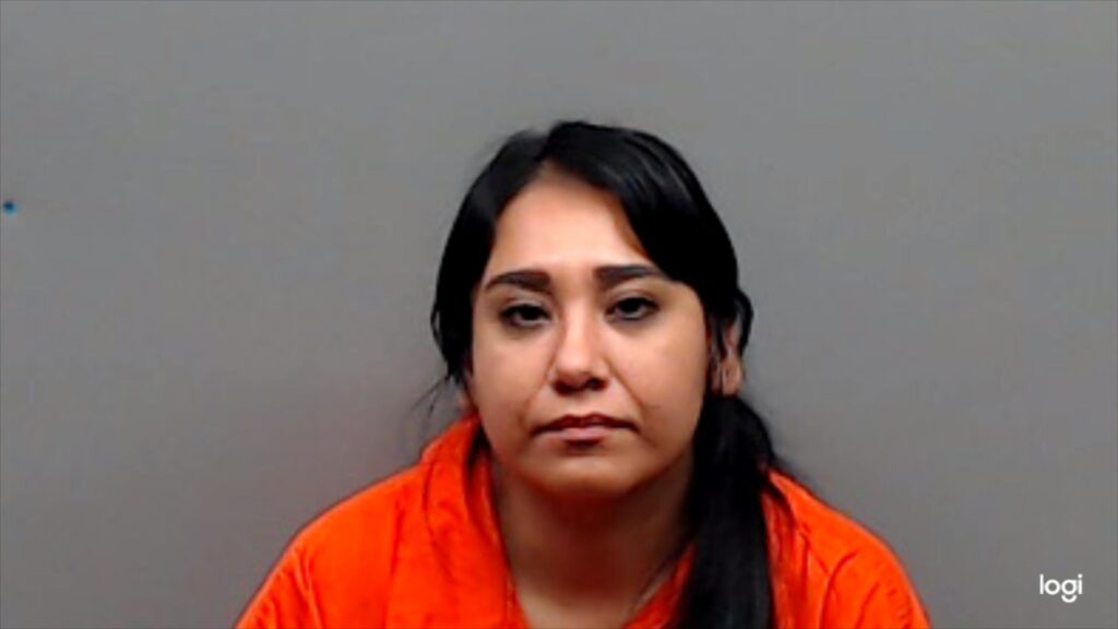 PALACIOS, BIOLETA CATALINA arrested in Smith County, Texas mugshot