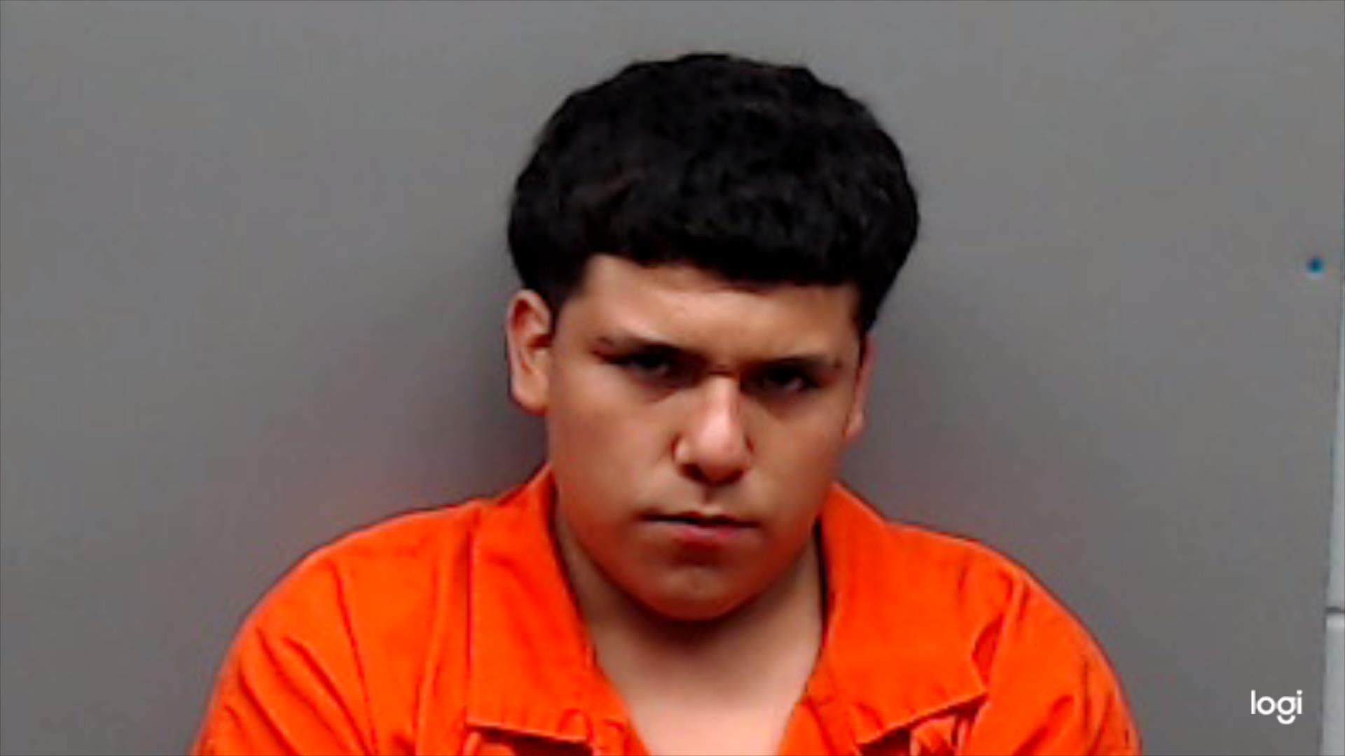 VILLEGAS, LUIS booking photo