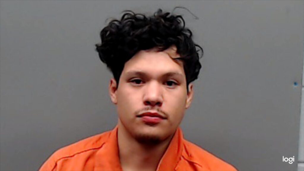 RENTERIA, ALEXIS DANIEL arrested in Smith County, Texas mugshot