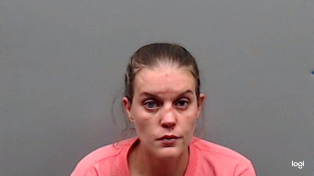 YOUNG, BRIANA MICHELLE arrested in Smith County, Texas mugshot