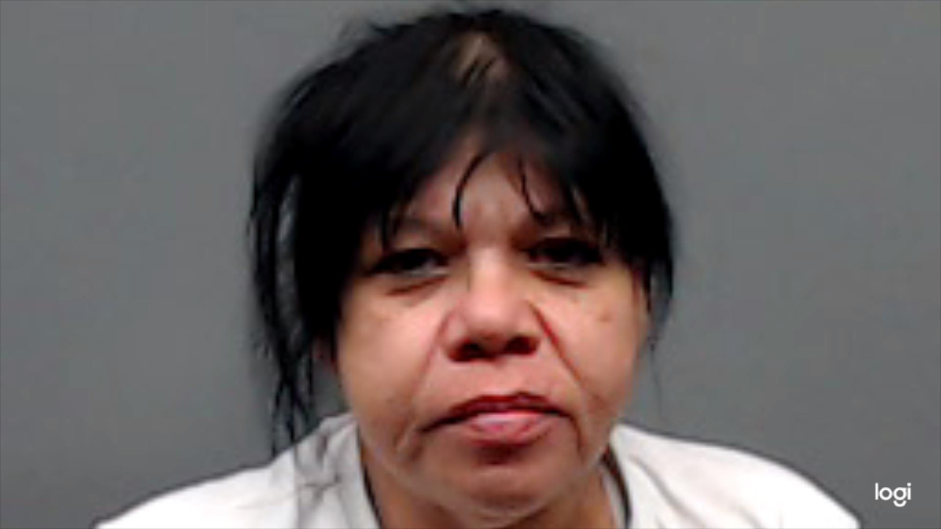 RAMIREZ-SANCHEZ, IRENE booking photo