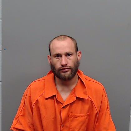 LEDESMA, BLAKE ELIAS booking photo