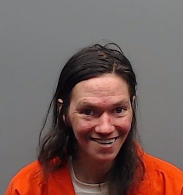 JOHNSON, NICHOLAS ALEXANDER booking photo