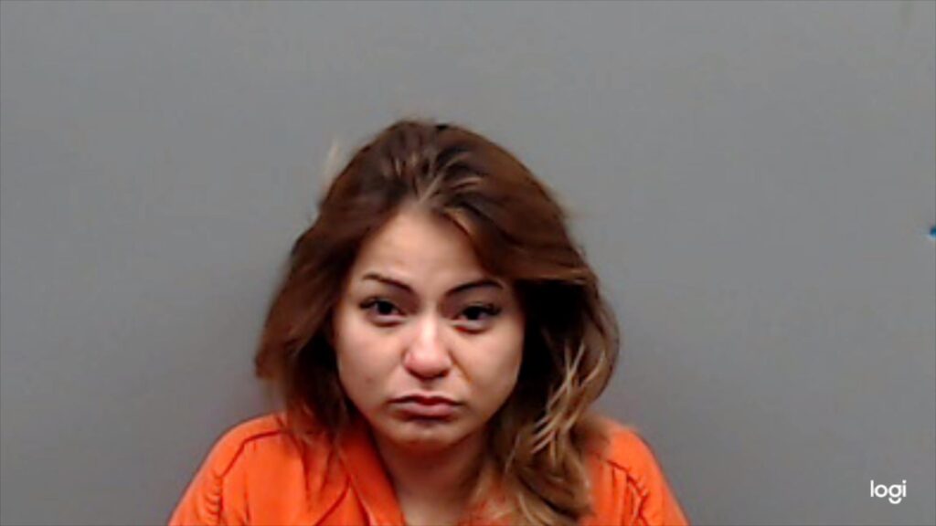 SALINAS, CESILIA arrested in Smith County, Texas mugshot