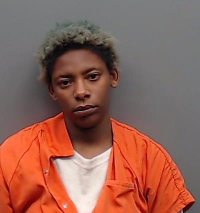 Robinson, Mia booking photo