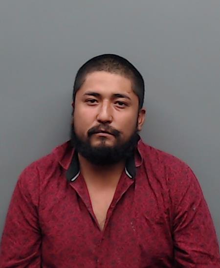 GRIMALDO-CASTILLO, CARLOS ANTON booking photo